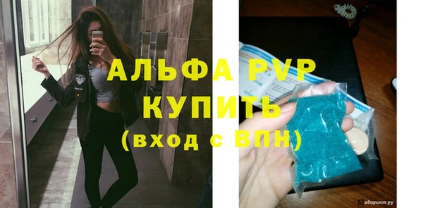 индика Карпинск