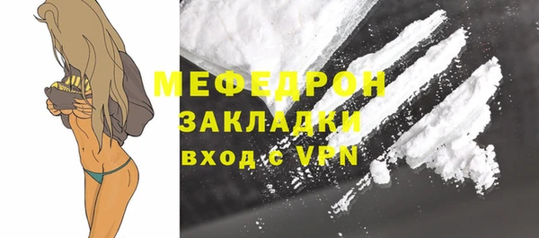 индика Карпинск
