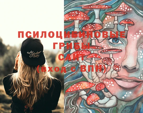 индика Карпинск
