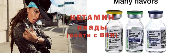 индика Карпинск