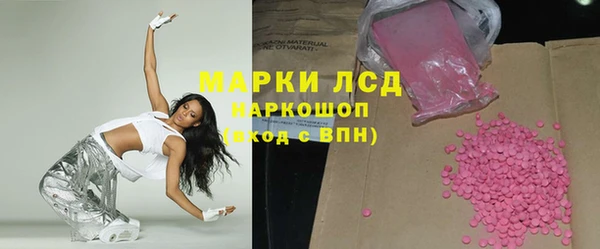 индика Карпинск