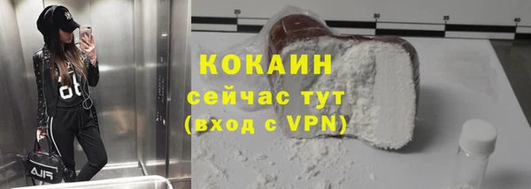 индика Карпинск