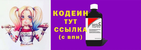 индика Карпинск