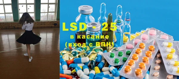 индика Карпинск
