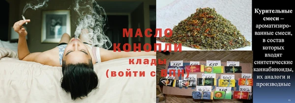 индика Карпинск