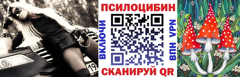 Купить  Полысаево  Галлюциногенные грибы MAGIC MUSHROOMS 